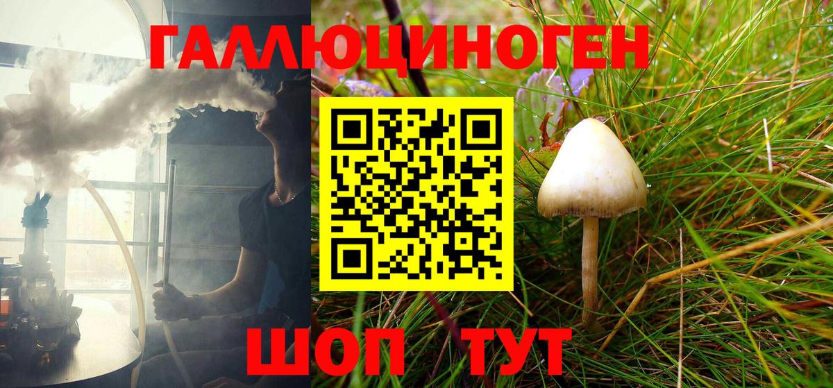 Псилоцибиновые грибы Psilocybe Новокубанск
