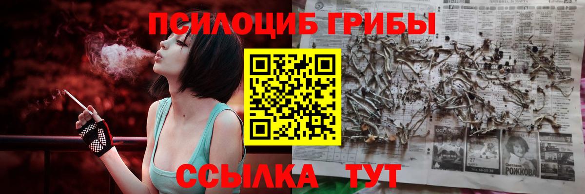 где купить   Вход с VPN  Новокубанск  Галлюциногенные грибы GOLDEN TEACHER 